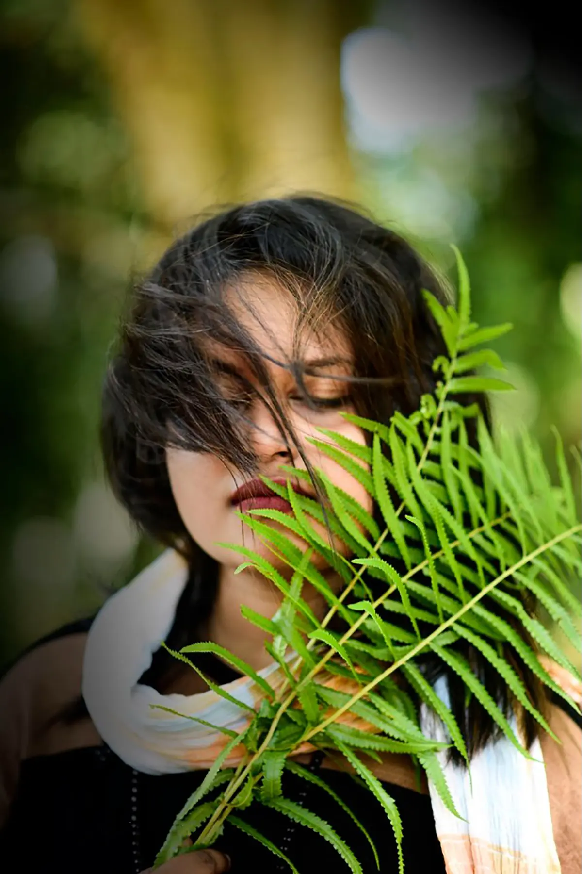 Signature collection photography